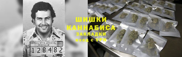 крисы Аркадак