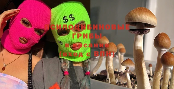 крисы Аркадак