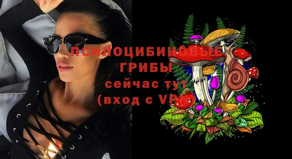 соль курить ск Арсеньев