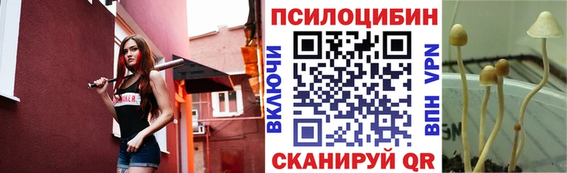Купить закладки  Верхний Тагил  Псилоцибиновые грибы MAGIC MUSHROOMS 